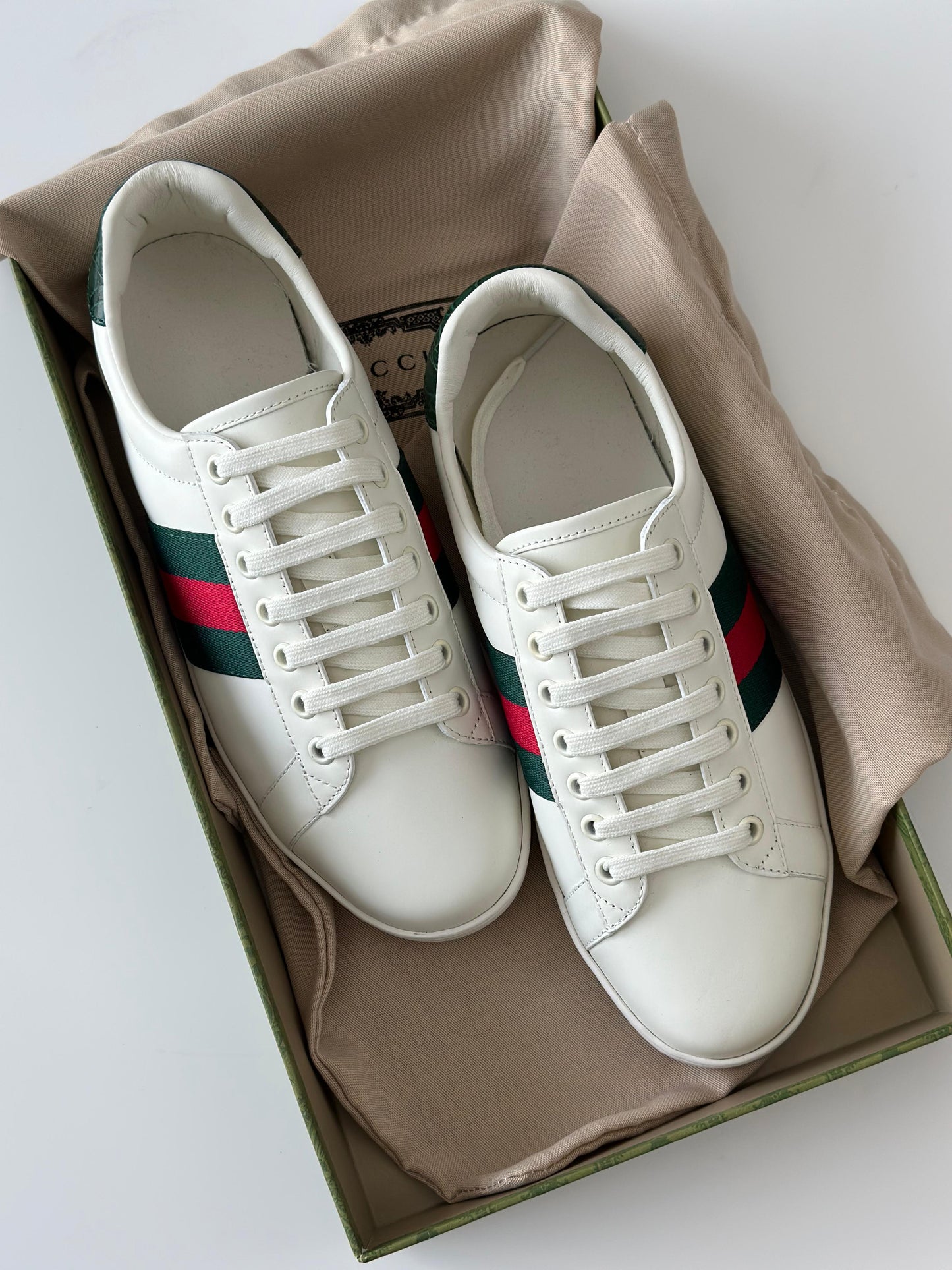 Gucci Ace | White