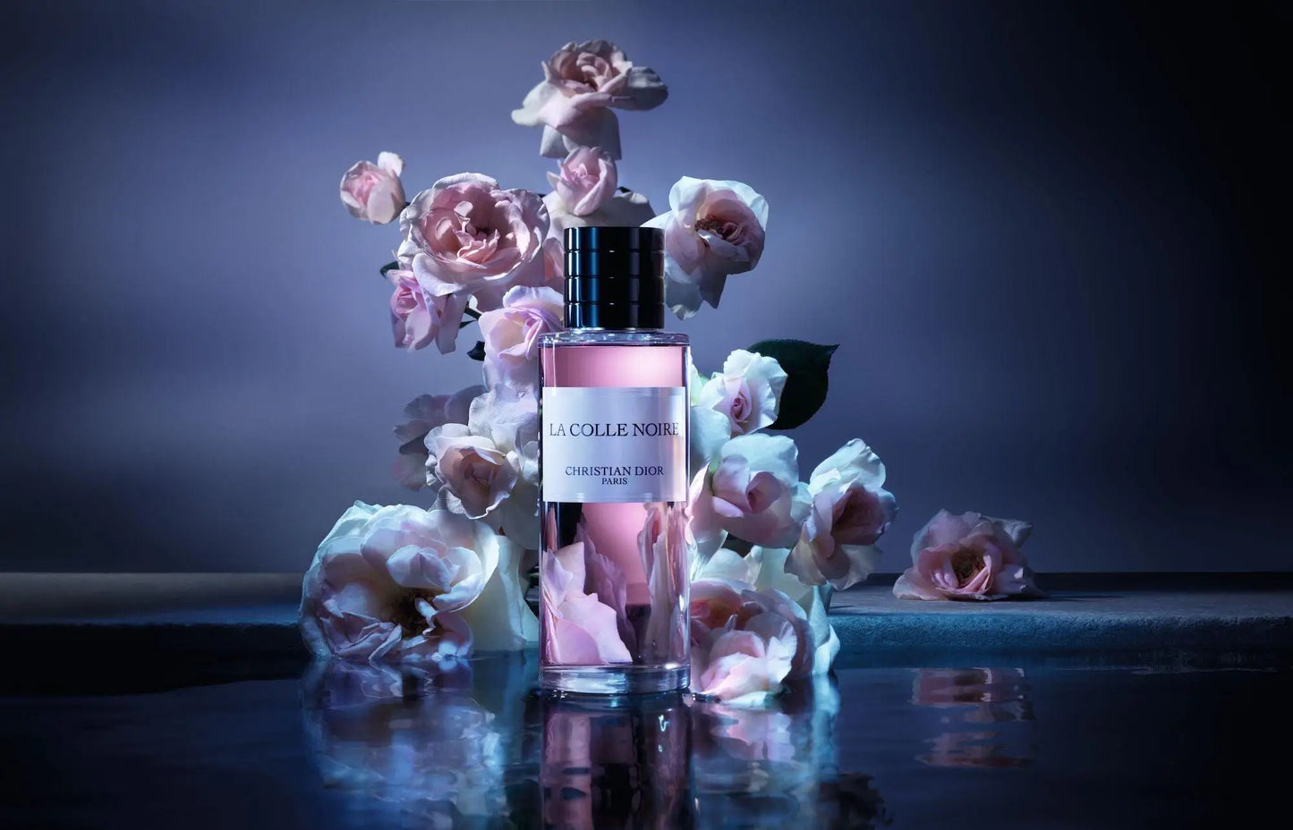 DIOR LA COLLE NOIRE