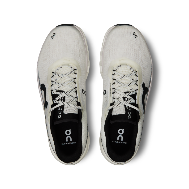 On Cloud Cloudmonster 2 | White Frost